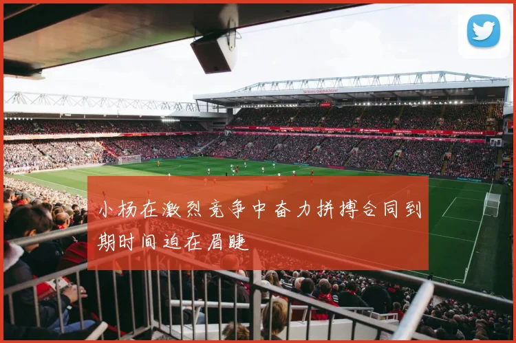 小杨在激烈竞争中奋力拼搏合同到期时间迫在眉睫