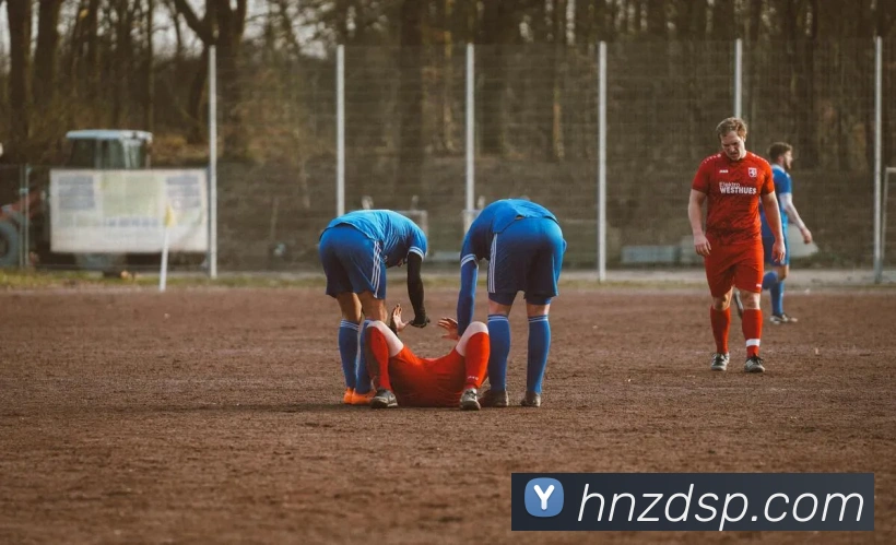 乐竞体育官方平台服务体系